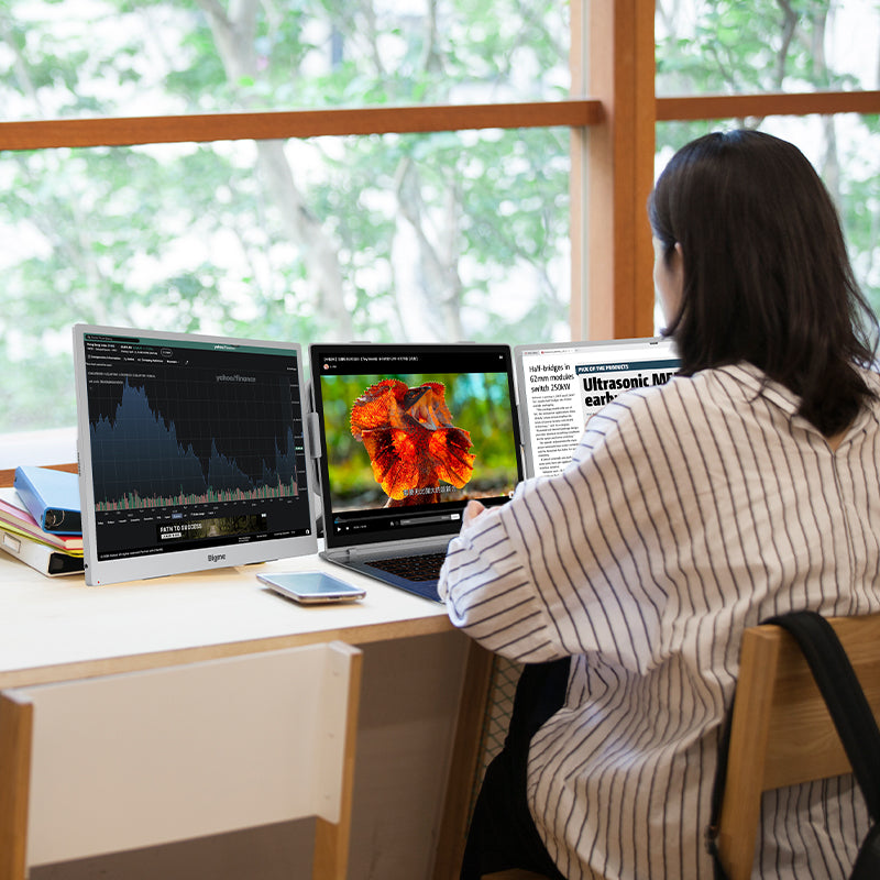 B13-- World's First 13.3" Color ePaper Monitor-Single Screen