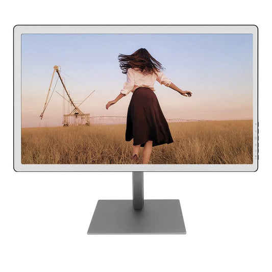 B251 - Bigme 25-inch Color E INK Monitor with Kaleido 3