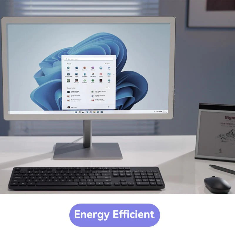 B251 - Bigme 25-inch Color E INK Monitor with Kaleido 3