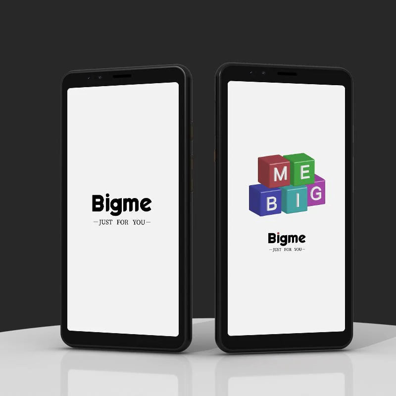 Bigme Hibreak E INK Smartphone